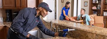 Best Termite Inspection and Treatment  in Lake Mohawk, NJ